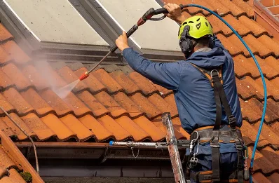 Démoussage et hydrofuge de toiture à Pébées